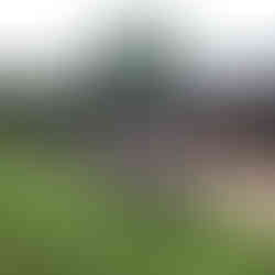 runners enjoying to music, food and drinks after a race