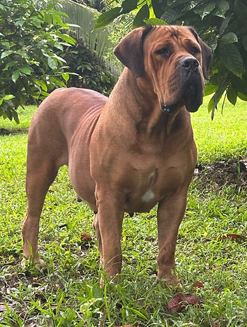 Moon Shadow 02_edited.jpg