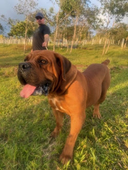 c0b013cc-35a8-47fd-a3d6-a0c0a2f60d46