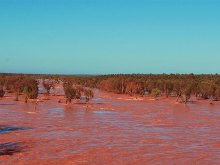 Day 19 - Shark Bay