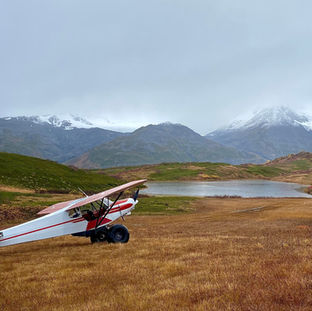 PA18 off field landing bush flying mountain flying