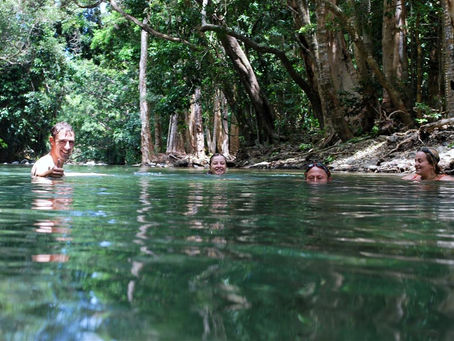 Day 27 - Daintree