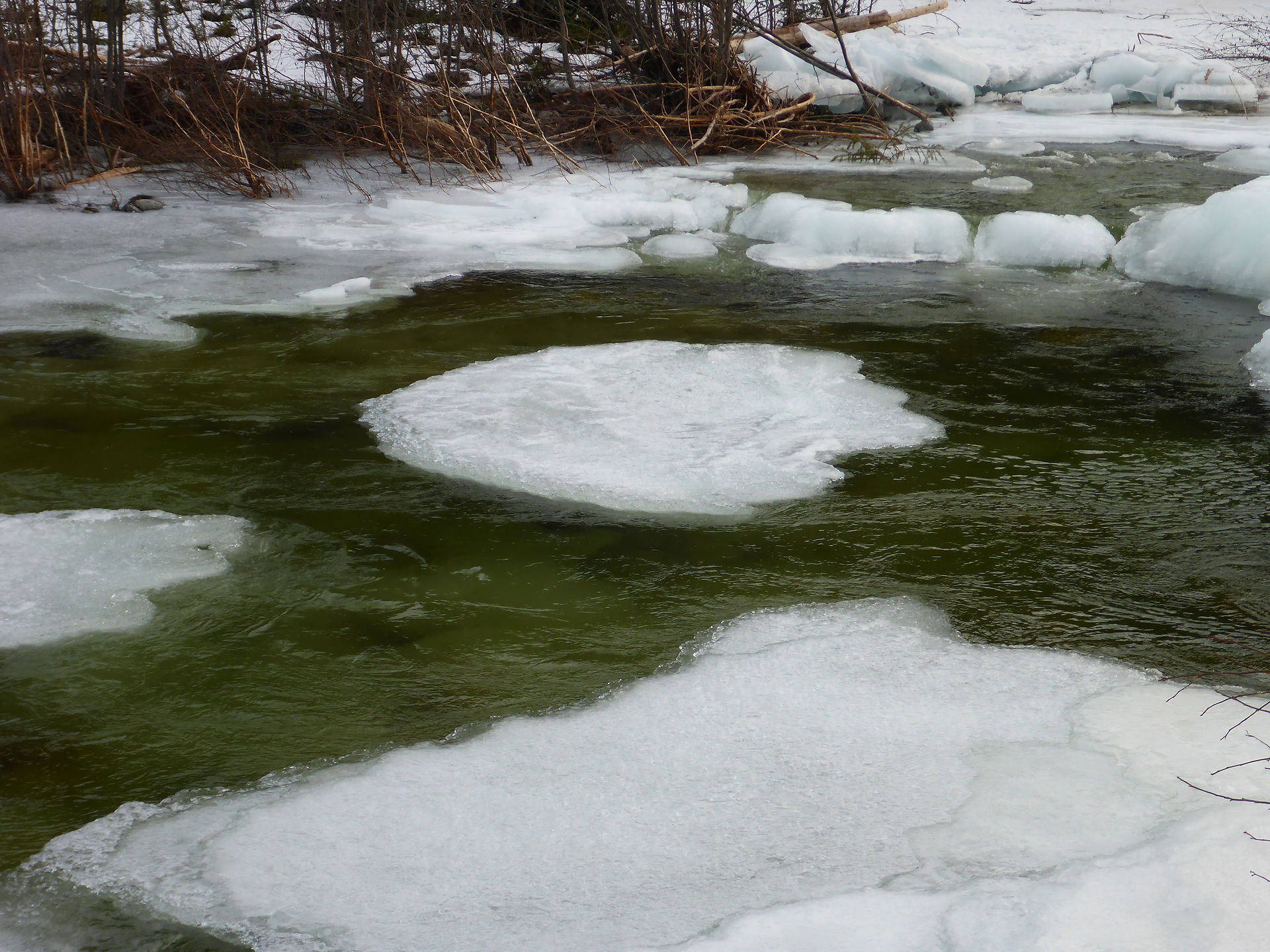 Walth Creek