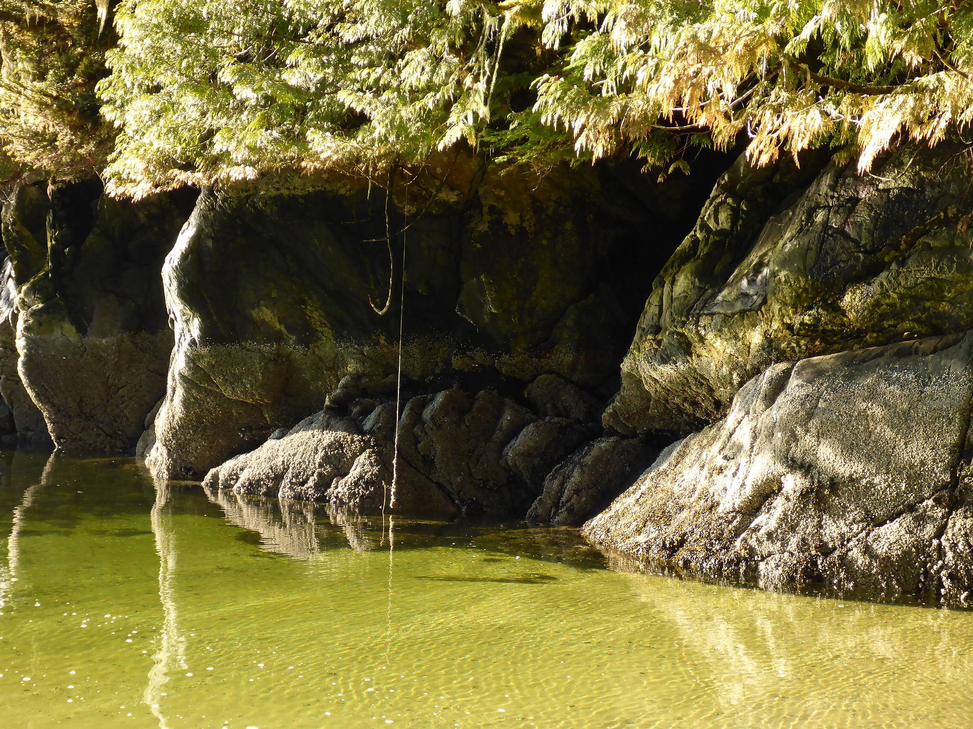 The water is limpid