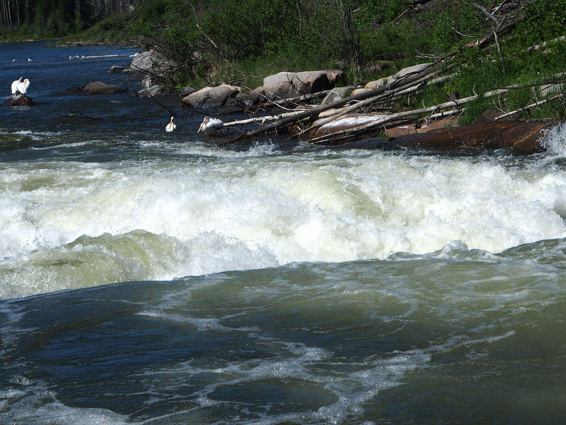 Sturgeon Weir River