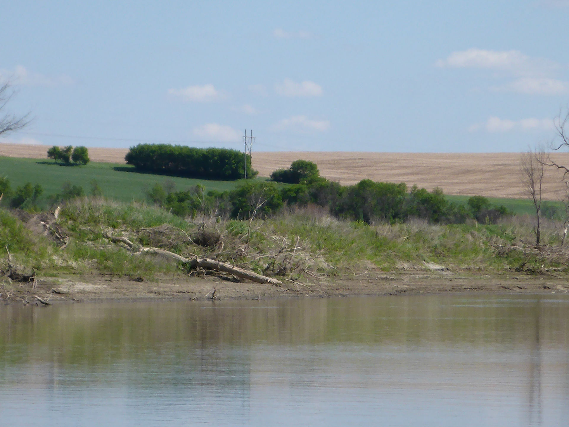 Close up of the scenery