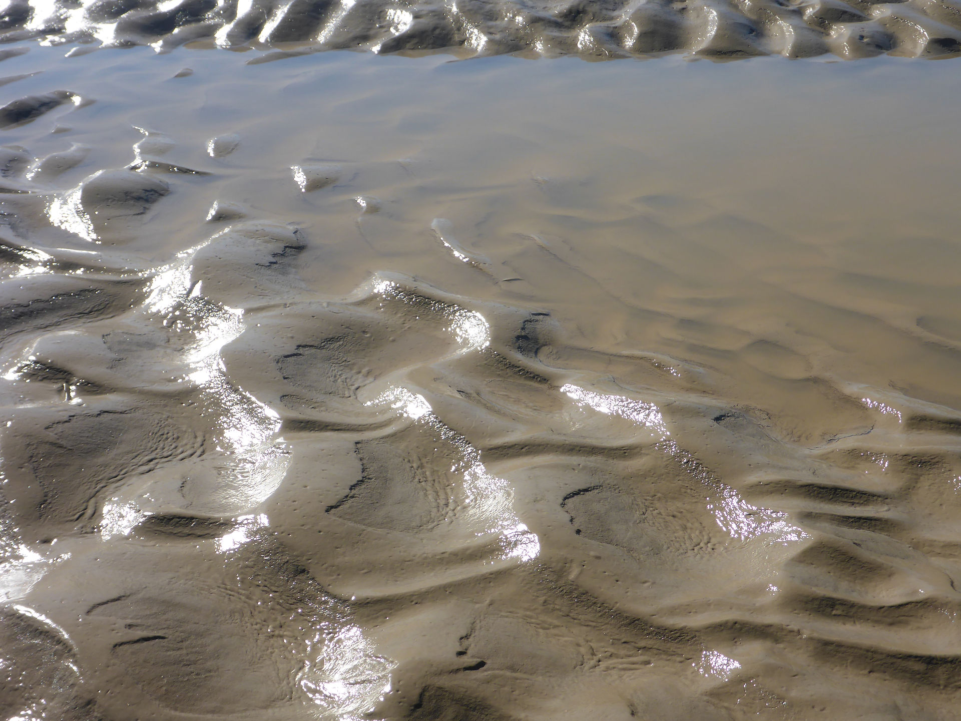 More mud