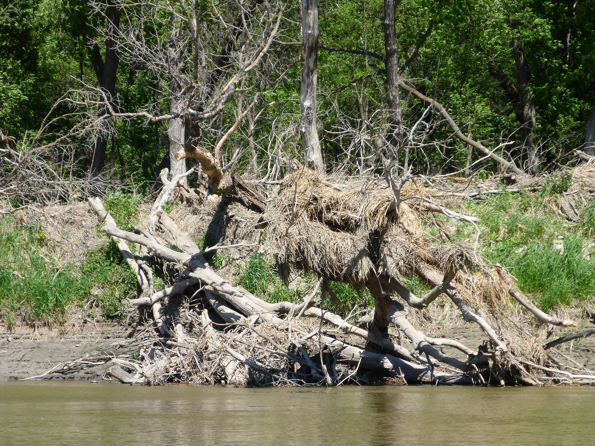 Lots of debris remaining on the Assiniboine River