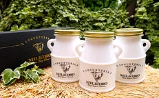 熊本合志市オオヤブデイリーファーム ミルコロ