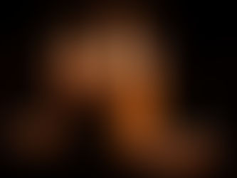 Cátaros, Políticas Sociais, Preconceitos e Constituição