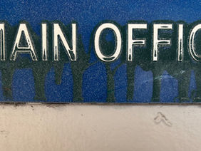 New Year, New School