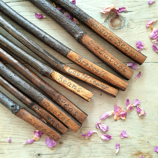 vegetable sticks