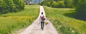 Wandering Traveler