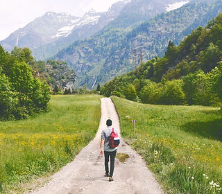 Wandering Traveler