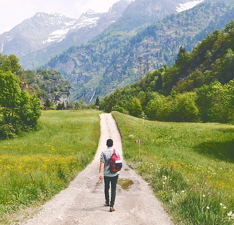 Wandering Traveler
