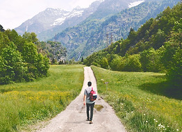 Wandering Traveler
