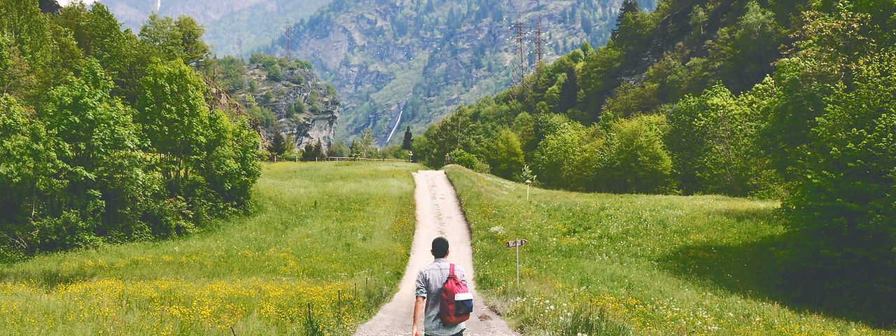 Wandering Traveler