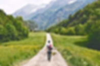 Wandering Traveler