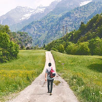Wandering Traveler