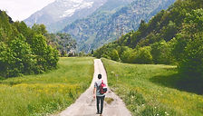 Wandering Traveler