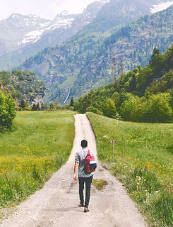 Wandering Traveler