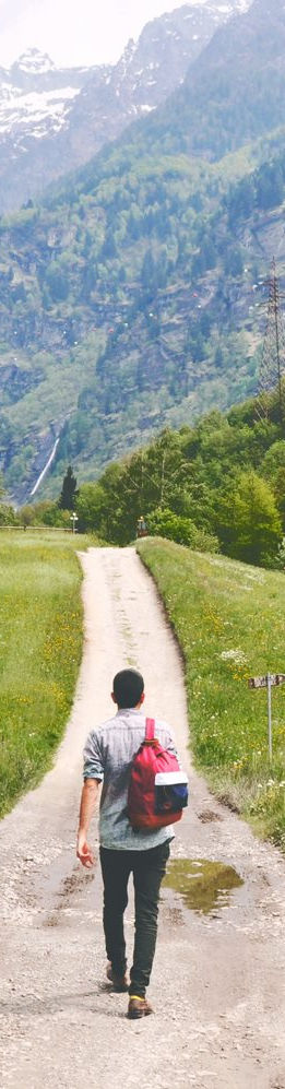 Wandering Traveler