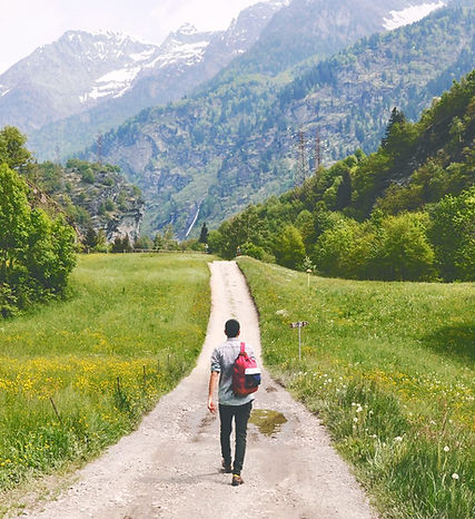 Wandering Traveler