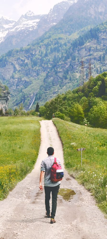 Wandering Traveler