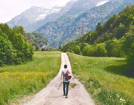 Wandering Traveler