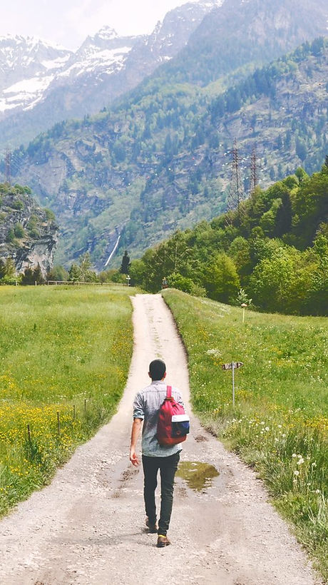 Wandering Traveler