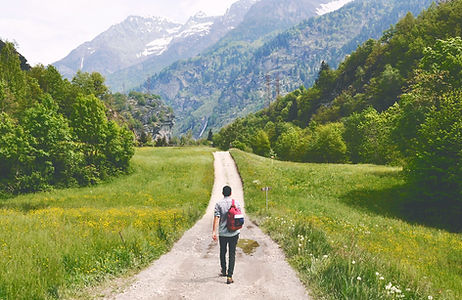 Wandering Traveler