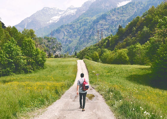 Wandering Traveler