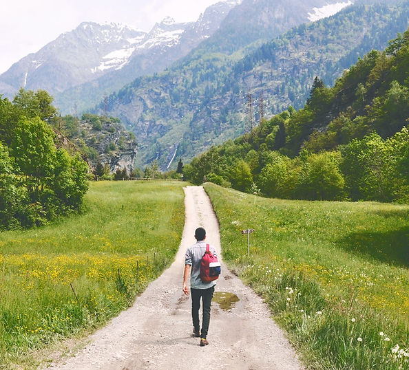 Wandering Traveler