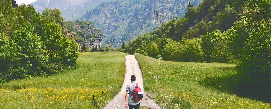 Wandering Traveler