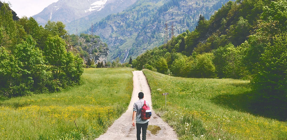 Wandering Traveler