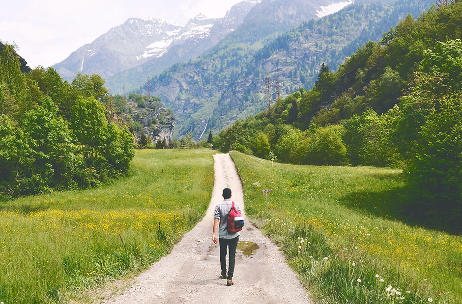 Wandering Traveler
