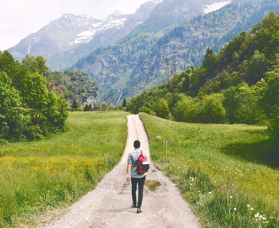 Wandering Traveler