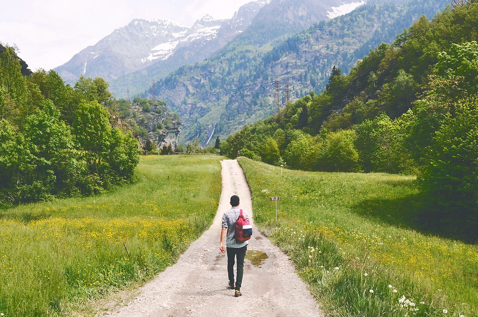 Wandering Traveler