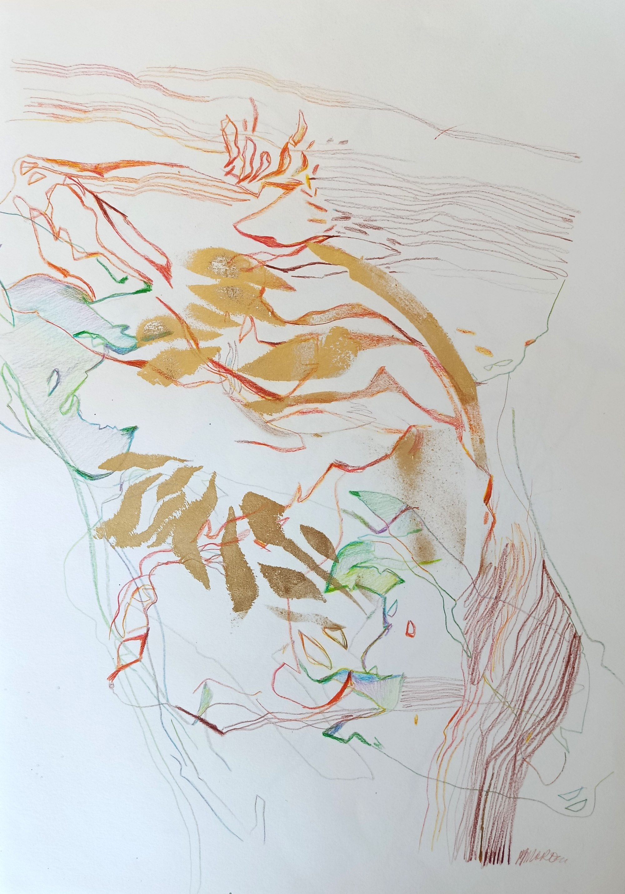 Drawn To Nature 2 (42x59cm)