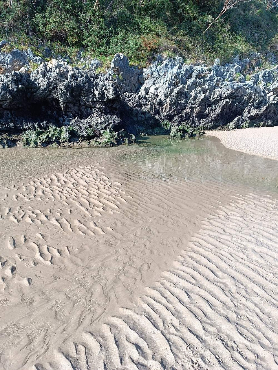 Playa de Guadamía rookpool