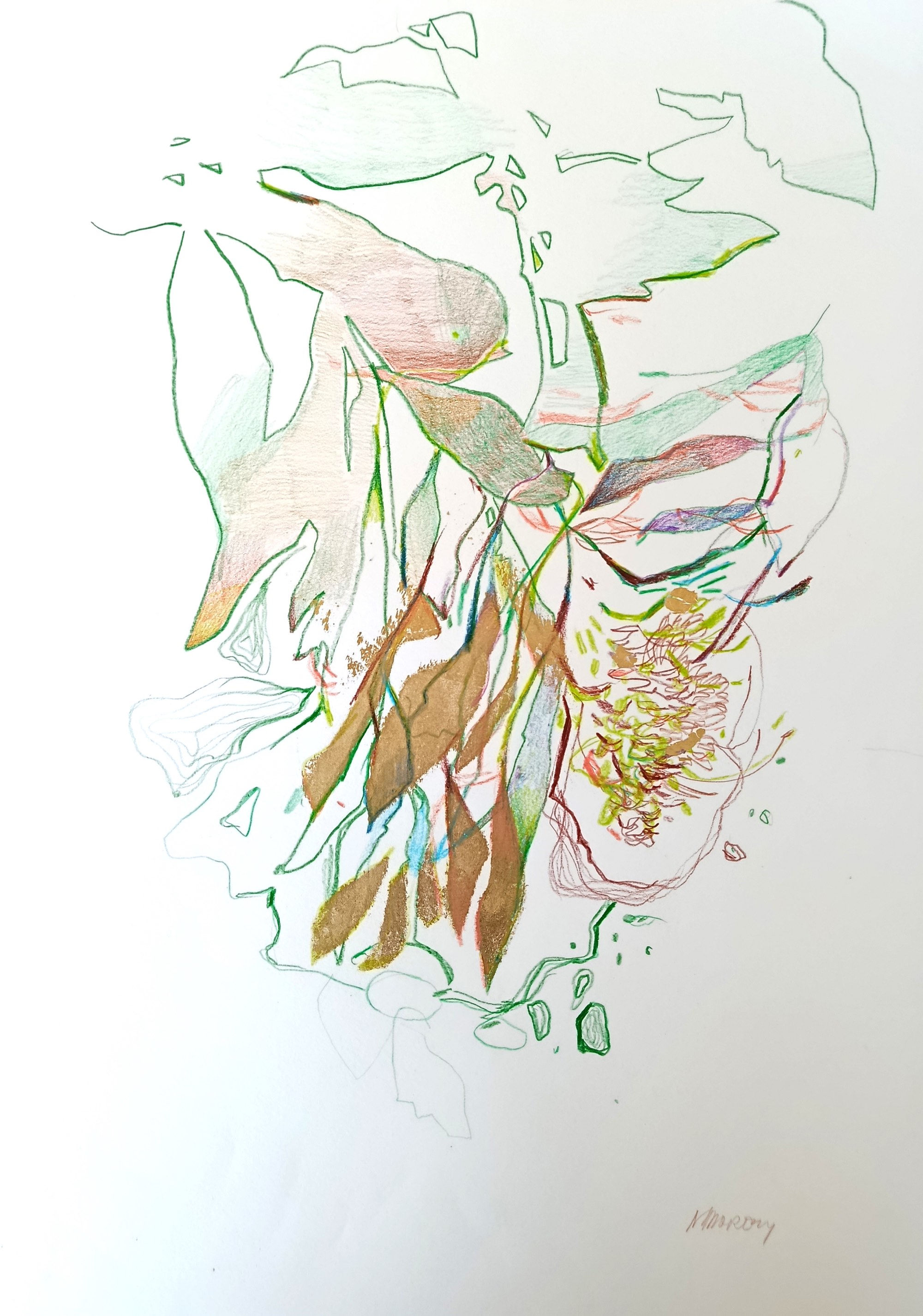 Drawn To Nature 6 (42x59cm)