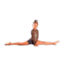 NDC (2).png