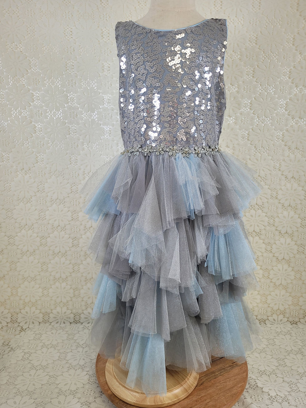 Girl's net and rhinestone dress