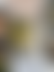 Silver Social- Navy Yard, Washington DC