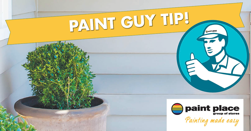 Paint Place Paint Guy Tip