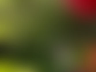 【ムーンビーチフォト 本当に素晴らしいと思う６選】