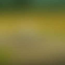 Subir do ICAO 4 para o 5, vale mesmo a pena?