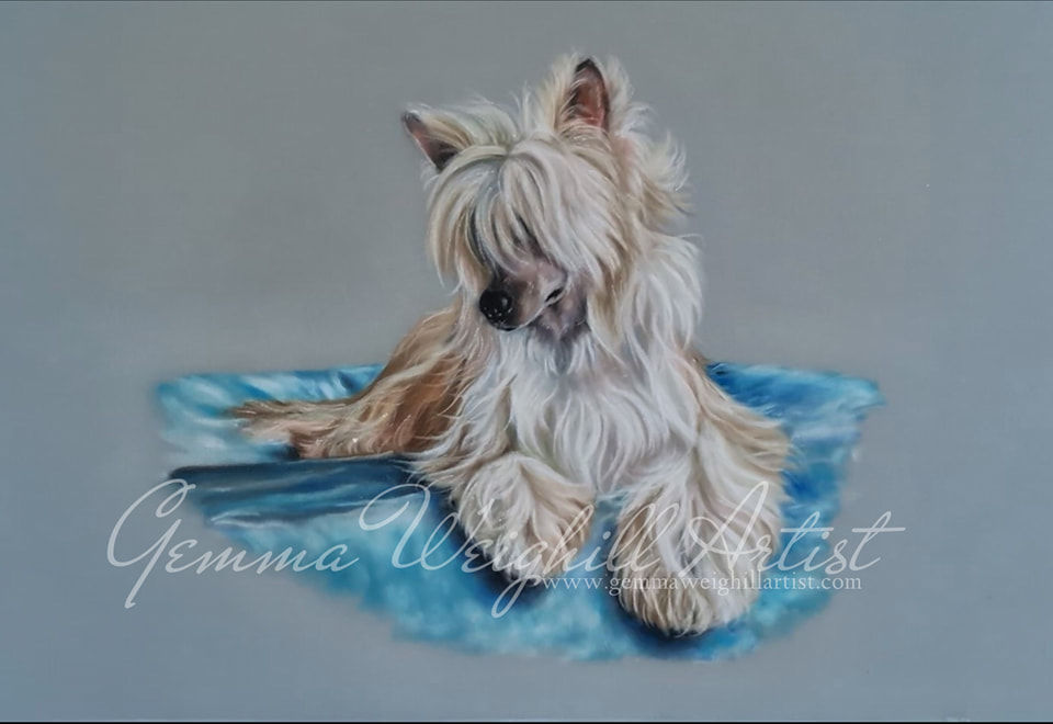 Apache 20" x 16" Pastels