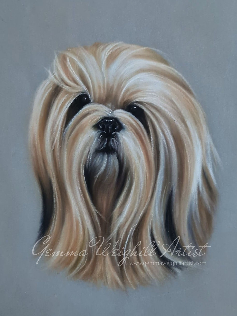 Pancho 12" x 16" Pastels