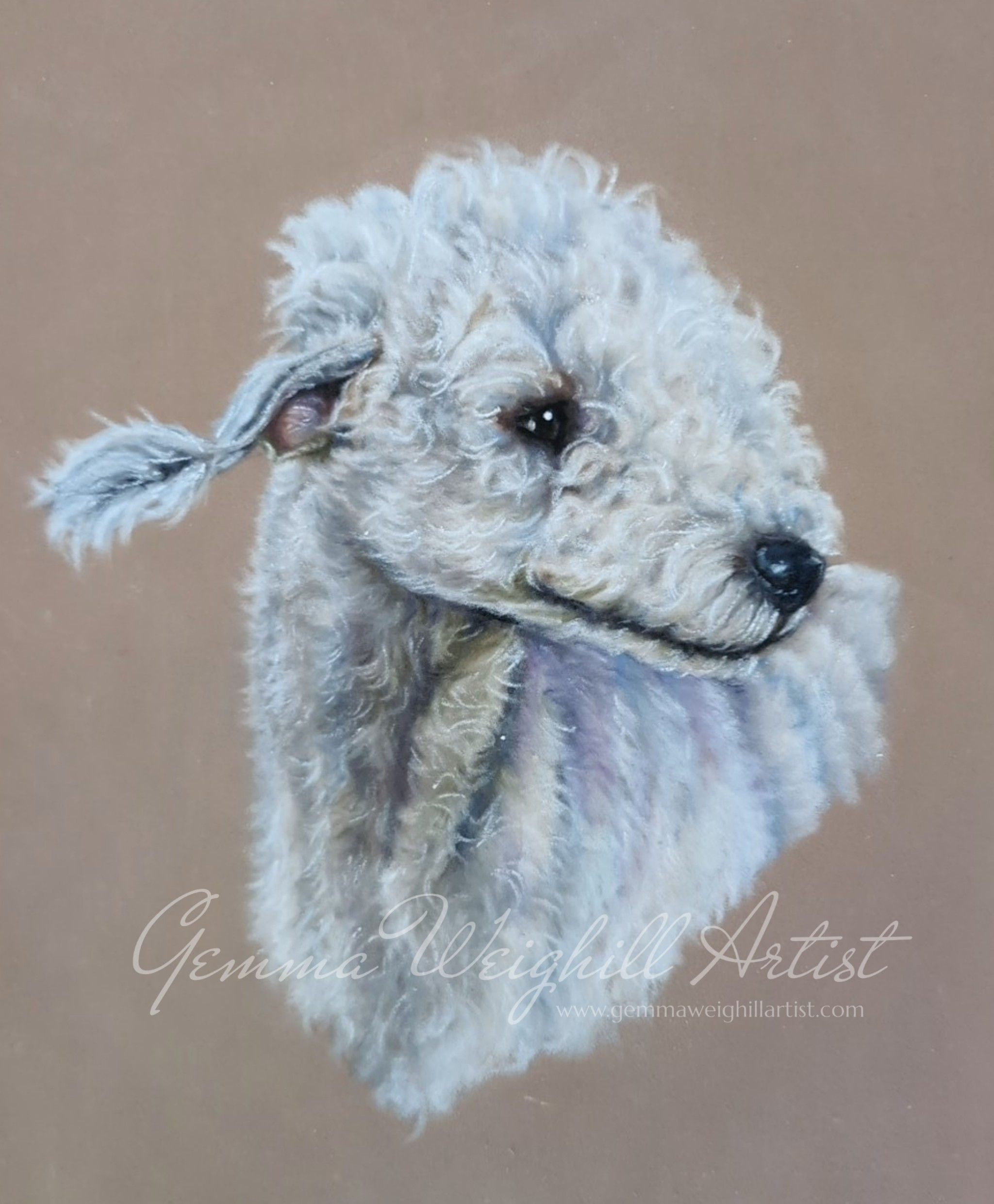 Bedlington Terrier Original Artwork
